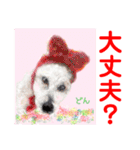 赤いりぼんの輪を広げたいワン11（個別スタンプ：8）