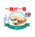 赤いりぼんの輪を広げたいワン11（個別スタンプ：16）