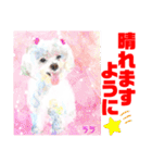 赤いりぼんの輪を広げたいワン11（個別スタンプ：22）