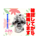 赤いりぼんの輪を広げたいワン11（個別スタンプ：25）