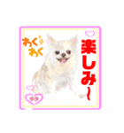 赤いりぼんの輪を広げたいワン11（個別スタンプ：30）