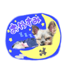 たかはしマロンちゃん（個別スタンプ：2）