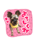 たかはしマロンちゃん（個別スタンプ：3）