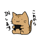 ゲーム好きなにゃんこ（個別スタンプ：3）