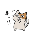 ゲーム好きなにゃんこ（個別スタンプ：22）