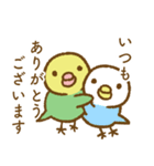 セキセイインコのたらこちゃん万能！敬語（個別スタンプ：3）