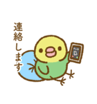 セキセイインコのたらこちゃん万能！敬語（個別スタンプ：40）