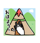 あこしとワンズ2（個別スタンプ：3）