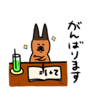 こっそり犬生活（個別スタンプ：13）