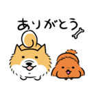 こっそり犬生活（個別スタンプ：24）