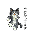 にゃーにゃー村2（個別スタンプ：2）
