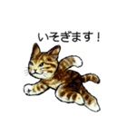 にゃーにゃー村2（個別スタンプ：4）