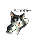 にゃーにゃー村2（個別スタンプ：5）