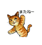 にゃーにゃー村2（個別スタンプ：7）