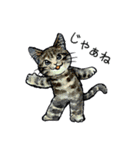 にゃーにゃー村2（個別スタンプ：8）