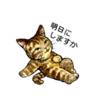 にゃーにゃー村2（個別スタンプ：9）