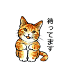 にゃーにゃー村2（個別スタンプ：11）