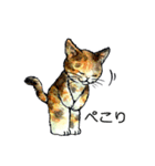 にゃーにゃー村2（個別スタンプ：16）