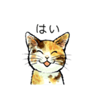 にゃーにゃー村2（個別スタンプ：17）