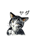 にゃーにゃー村2（個別スタンプ：19）