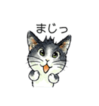 にゃーにゃー村2（個別スタンプ：27）