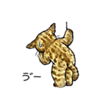にゃーにゃー村2（個別スタンプ：29）