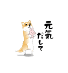 激しく尻尾をふる犬（個別スタンプ：24）