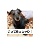 クロムのすたんぷ（個別スタンプ：5）