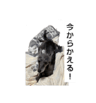 クロムのすたんぷ（個別スタンプ：6）