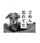 クロムのすたんぷ（個別スタンプ：8）
