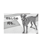 クロムのすたんぷ（個別スタンプ：13）
