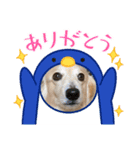 おえあうえ（個別スタンプ：5）