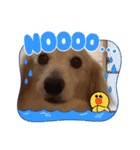 おえあうえ（個別スタンプ：13）