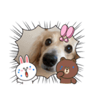 おえあうえ（個別スタンプ：14）