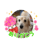 おえあうえ（個別スタンプ：16）