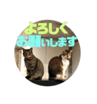 りずむ＆ココ（個別スタンプ：9）