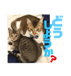 りずむ＆ココ（個別スタンプ：10）