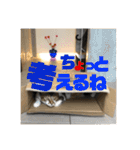 りずむ＆ココ（個別スタンプ：15）
