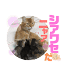 りずむ＆ココ（個別スタンプ：18）