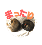 りずむ＆ココ（個別スタンプ：21）