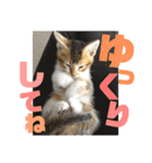 りずむ＆ココ（個別スタンプ：23）