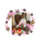 おベル（個別スタンプ：6）