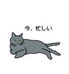 灰色ねこファミリー（個別スタンプ：2）