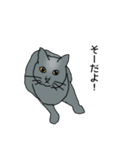 灰色ねこファミリー（個別スタンプ：4）