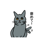 灰色ねこファミリー（個別スタンプ：8）