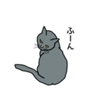 灰色ねこファミリー（個別スタンプ：9）