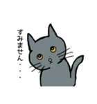 灰色ねこファミリー（個別スタンプ：11）