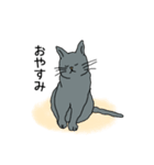 灰色ねこファミリー（個別スタンプ：14）