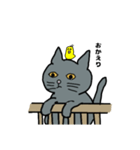 灰色ねこファミリー（個別スタンプ：15）