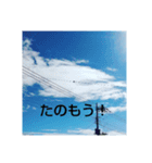 不思議な雲スタンプ（個別スタンプ：3）